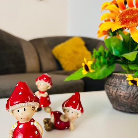 House51 Apartment Brasov Ngoại thất bức ảnh