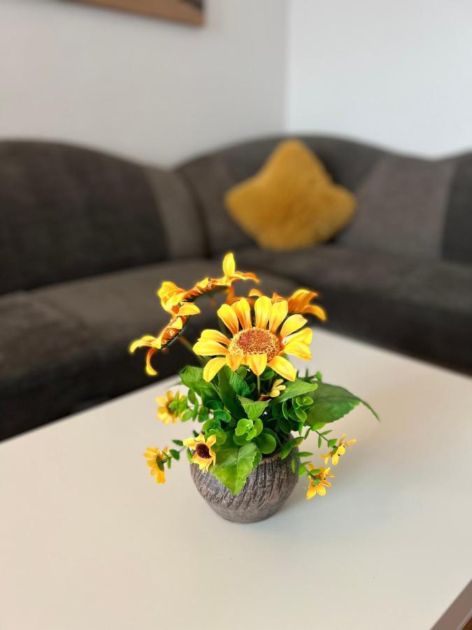 House51 Apartment Brasov Ngoại thất bức ảnh