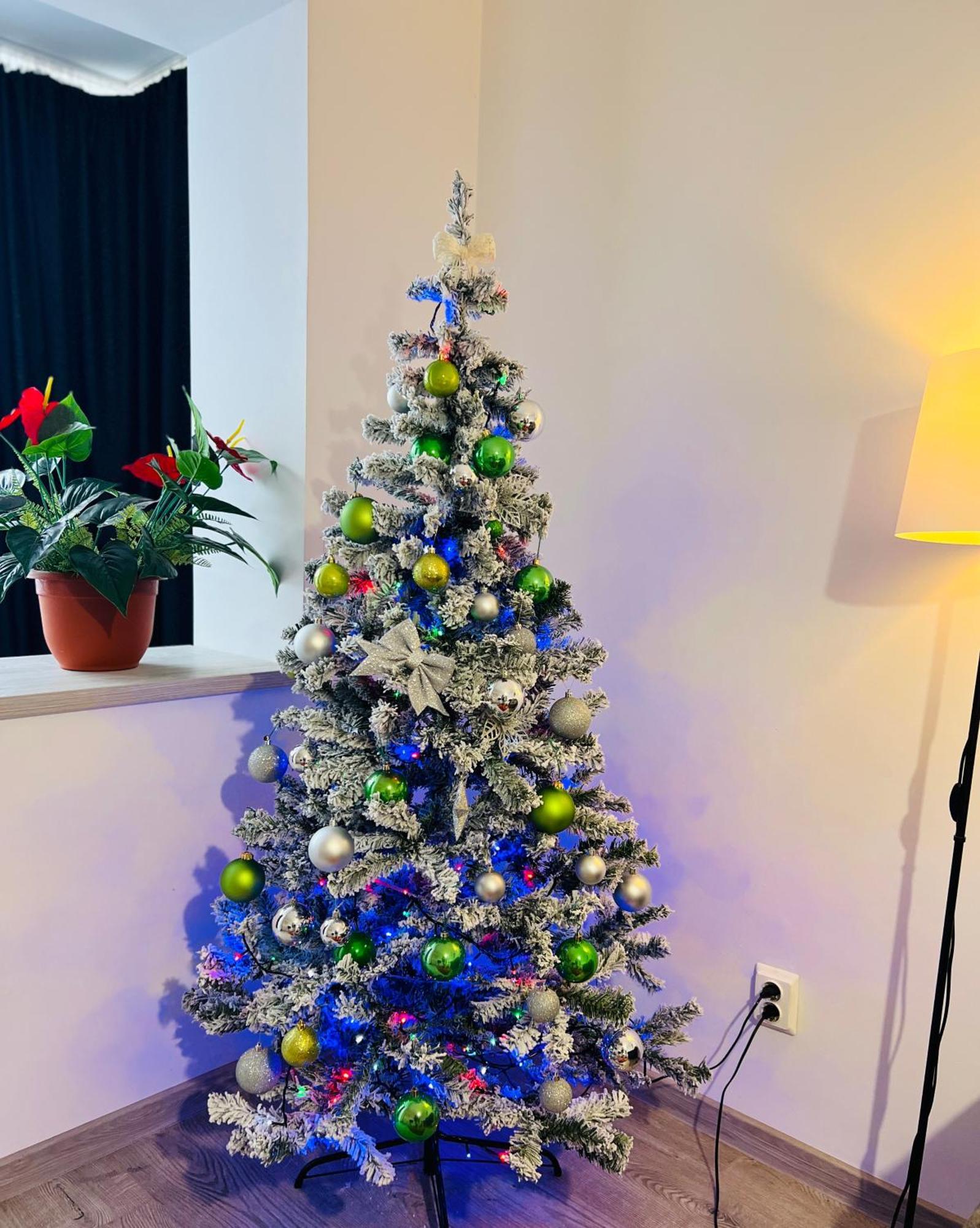 House51 Apartment Brasov Ngoại thất bức ảnh