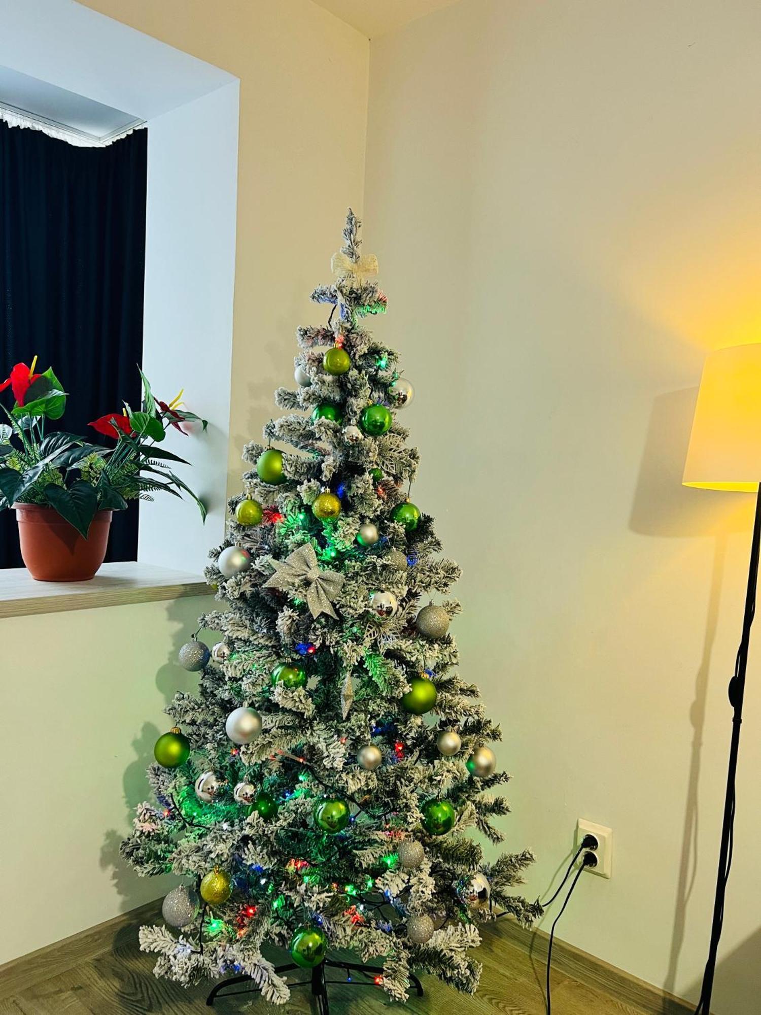 House51 Apartment Brasov Ngoại thất bức ảnh