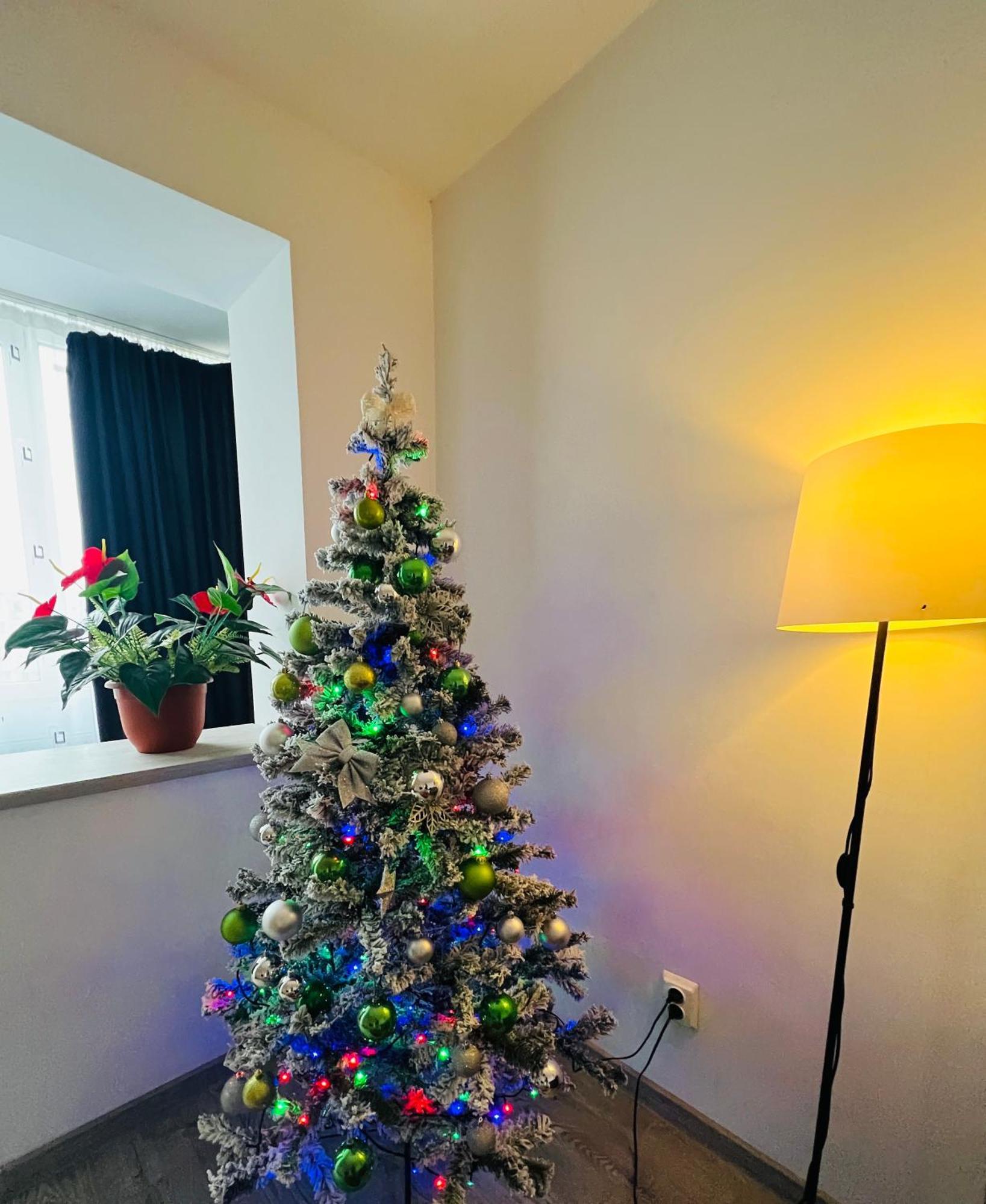 House51 Apartment Brasov Ngoại thất bức ảnh